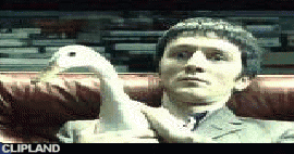 animated gif of American Express; American Express(Brand); Blue Card(Product) "Duck"