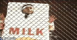 animated gif of America's Dairy Farmers; Milk(Brand) "Carton"