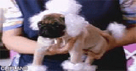 animated gif of Bestform, Inc.; Pot Noodle(Brand) "Poodle Parlour"
