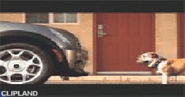 animated gif of BMW; Mini(Brand); Mini Cooper(Product) "Bulldog [Mini Cooper 2002 Launch Campaign ]" (5/20)