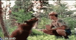 animated gif of Budget; Budget(Brand) "Ranger"