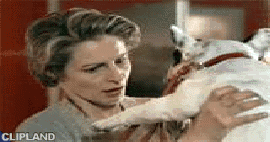 animated gif of Charal; Charal(Brand) "The Lift [The Meat Frustrated People]" (5/13)