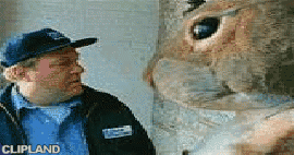 animated gif of Dial a Mattress; Dial-A-Mattress(Brand); Mattress(Product) "Arctic Ground Squirrel"