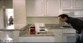 animated gif of Dunkin' Donuts; Dunkin' Donuts(Brand); Donut Retail Chain(Product) "New House" (2002)