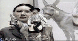 animated gif of Ego; Ego(Brand); Pension Fund(Product) "Auction" (1999)