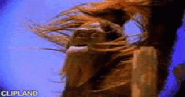 animated gif of Hutchison Telecommunications ; Orange(Brand) "Natural Instincts" (9/19)