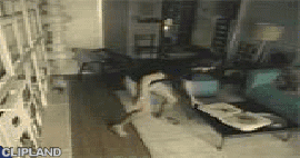animated gif of IKEA; Ikea(Brand); Furniture(Product) "Nice & Tidy"