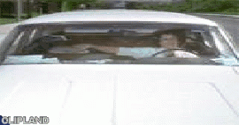 animated gif of LexusSafety.com; LexusSafety.com(Brand) "Changing" (2000)