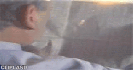 animated gif of LexusSafety.com; LexusSafety.com(Brand) "Newspaper" (2000)