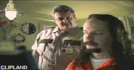 animated gif of Microsoft; HomeAdvisor.com(Brand) "Cell"