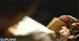 animated gif of Miller Brewing Company; Miller High Life(Brand) "Trash [Living the High Life]"