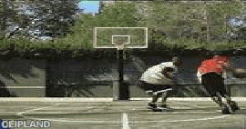 animated gif of Nike; Nike(Brand); Sportswear(Product) "One-on-Everyone"