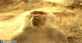 animated gif of PepsiCo; Sierra Mist(Brand) "Monkey" (1/26)