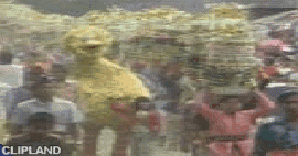animated gif of Public Broadcasting Service; PBS(Brand) "Big Bird"
