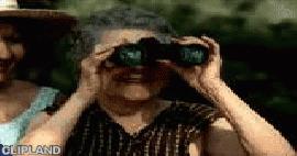 animated gif of Unilever Bestfoods; Olivio Bertolli(Brand) "Holiday [Olivio Bertolli]"