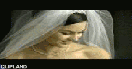 animated gif of Volkswagen; Volkswagen(Brand); Jetta(Product) "Big Day (30 sec.) [Superbowl 2001]" (1/28)