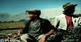animated gif of Waitrose Ltd; Waitrose(Brand) "Culemborg Pinotage, Western Cape Red Wine"