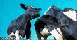 animated gif of Waitrose Ltd; Waitrose(Brand) "Milk"