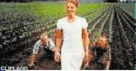 animated gif of Belmondo "Ackergold"
