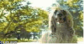 animated gif of Procter & Gamble - Pantene-Pro-V "(unknown)"