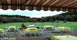 animated gif of Bifi(Brand), Bifi Geflüger(Product) "Chickendance/ Bastian Schweinsteiger" (2005)