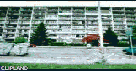 animated gif of Bacardi(Brand), Bacardi Breezer "Tomcat: Tomcat/ Night Out (There's Latin Spirit In Everyone.)"
