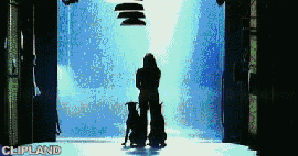 animated gif of 'N Sync "Bye Bye Bye" (2000)