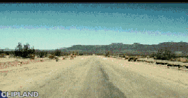 animated gif of Such A Surge "Gib' Mir Mehr" (2000)