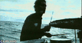 animated gif of Feeder 