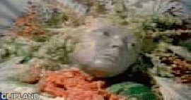 animated gif of Flora