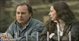 animated gif of South for Winter