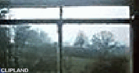animated gif of Windows