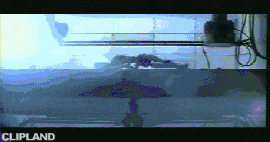 animated gif of Björk "All Is Full Of Love" (1999)