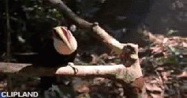 animated gif of Michael Jackson "Earth Song" (1995)