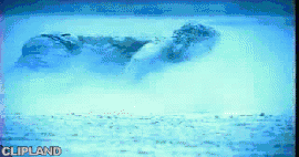 animated gif of Marcy Playground "Sherry Fraser" (1998)