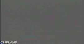 animated gif of Robyn "Do You Really Want Me"