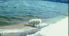 animated gif of A "I Love Lake Tahoe" (2000)